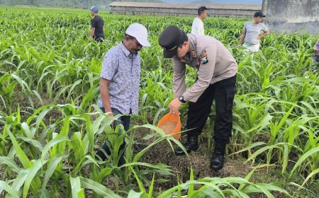 Bhabinkamtibmas Polres Malang Aktif Dampingi Petani Jaga Ketahanan Pangan