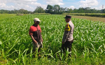 Polres Malang Dampingi Petani Perkuat Ketahanan Pangan