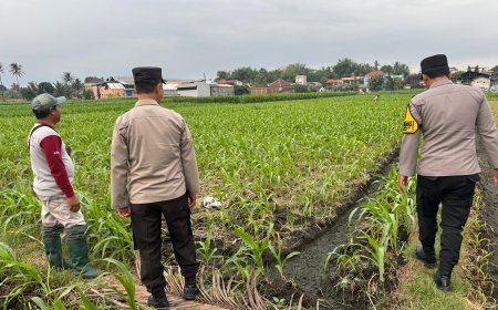 Bhabinkamtibmas Polres Malang Aktif Dampingi Petani Jaga Ketahanan Pangan