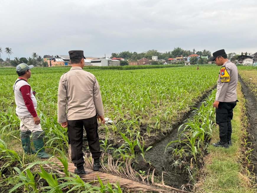 Bhabinkamtibmas Polres Malang Aktif Dampingi Petani Jaga Ketahanan Pangan