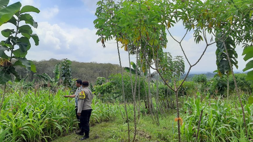 Polres Malang Dorong Lahan Produktif Terus Digarap untuk Ketahanan Pangan