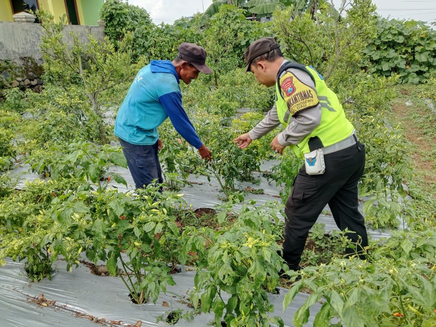 Polres Malang Dampingi Petani Perkuat Ketahanan Pangan